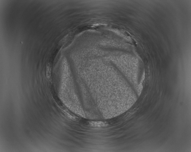 X0000082990281200702230108