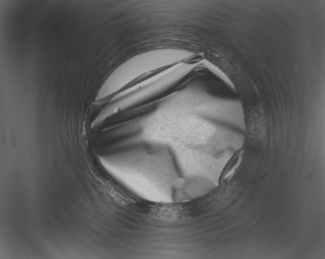 X0000082990282200702230108