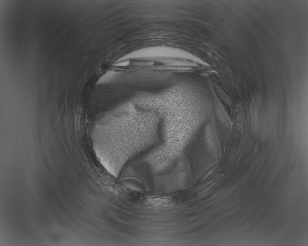 X0000082990283200702230108