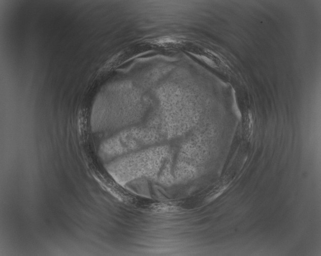 X0000082990284200702230108