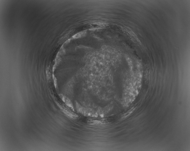 X0000082990285200702230108