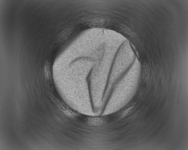 X0000082990287200702230108