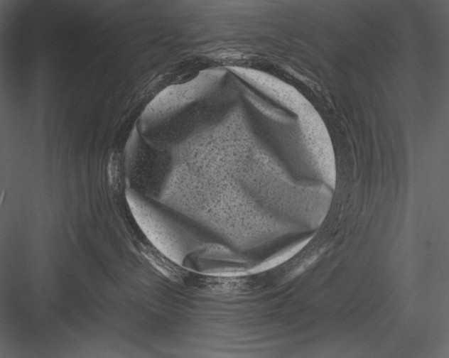 X0000082990288200702230108