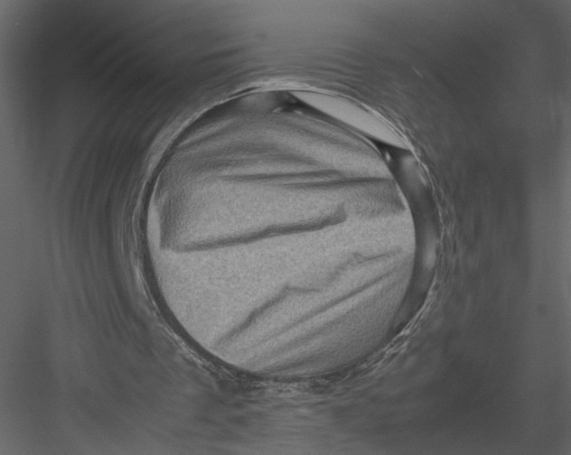 X0000082990289200702230107