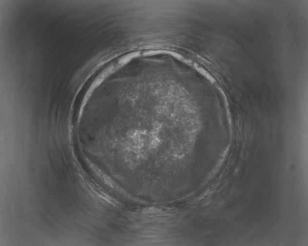 X0000082990290200702230107