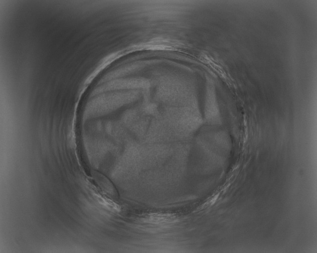 X0000082990292200702230107