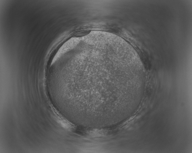 X0000082990293200702230107