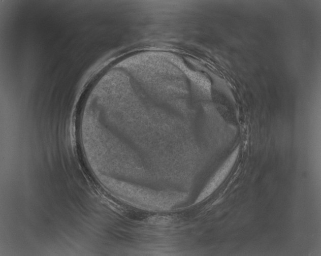 X0000082990294200702230107