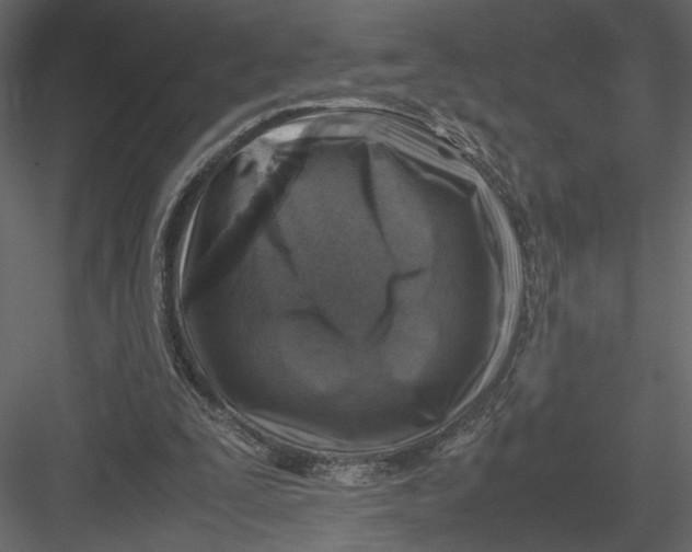 X0000082990295200702230107