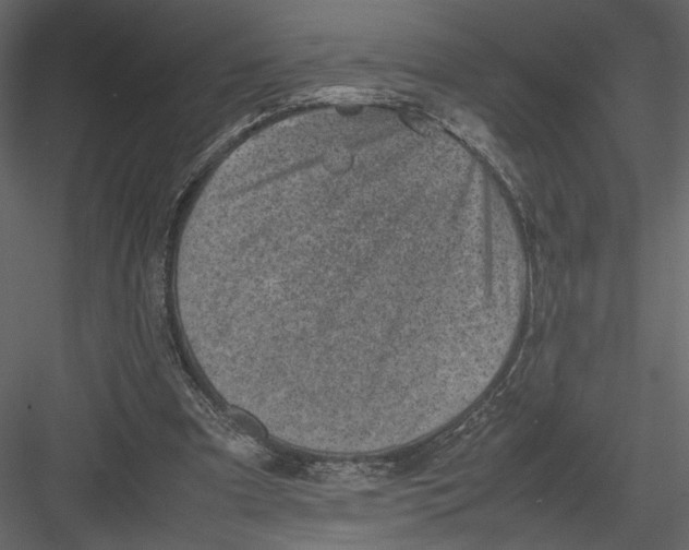 X0000082990297200702230107