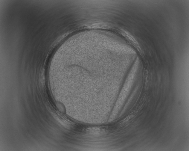 X0000082990298200702230107