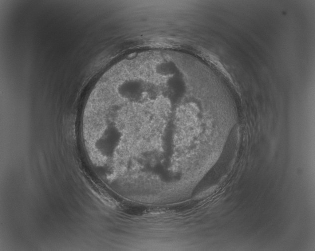 X0000082990299200702230107