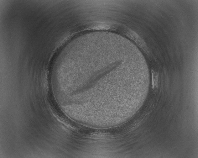 X0000082990300200702230107