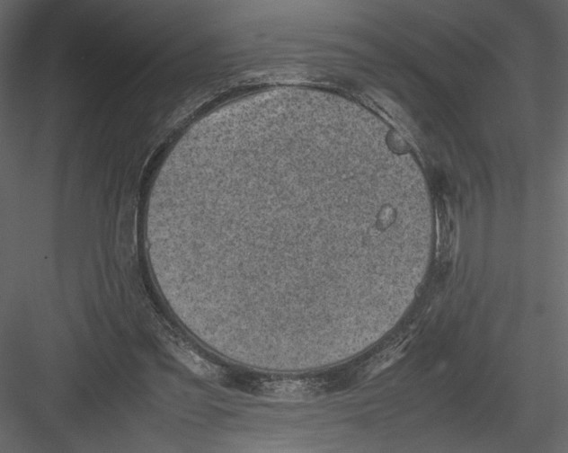 X0000082990301200702230107