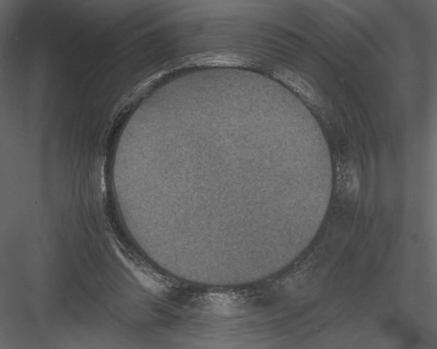 X0000082990302200702230107