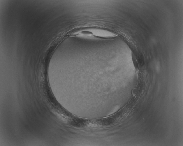 X0000082990303200702230107