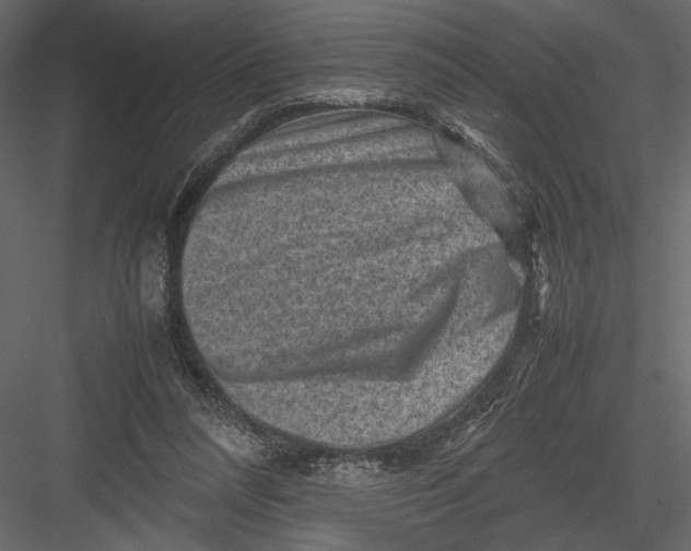 X0000082990304200702230107