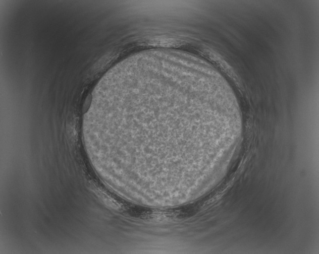 X0000082990305200702230107