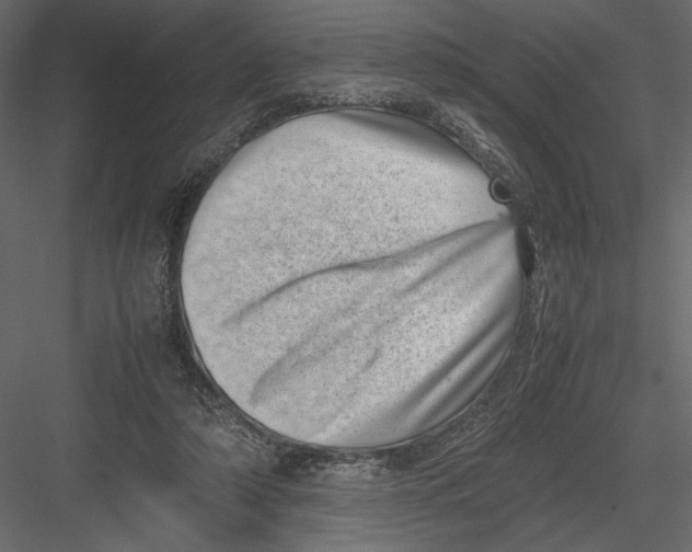 X0000082990306200702230107