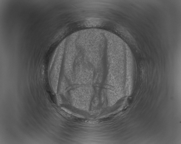 X0000082990308200702230107