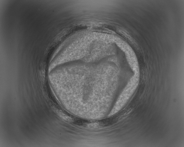 X0000082990309200702230107