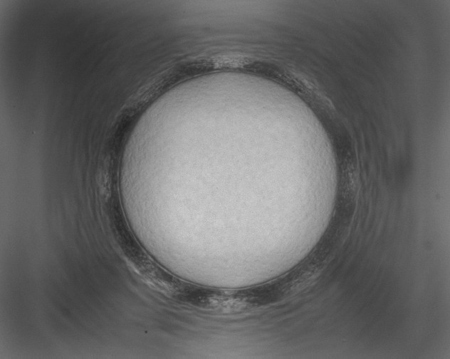 X0000082990311200702230107