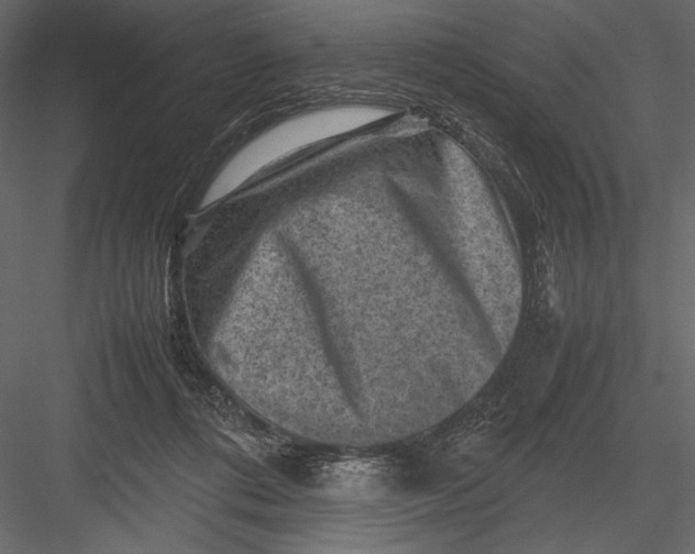 X0000082990312200702230107