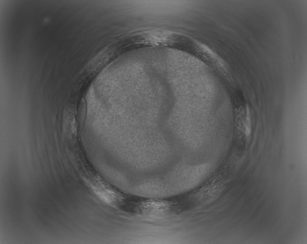 X0000082990313200702230107