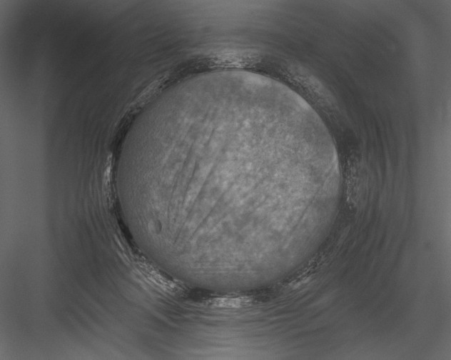 X0000082990314200702230107