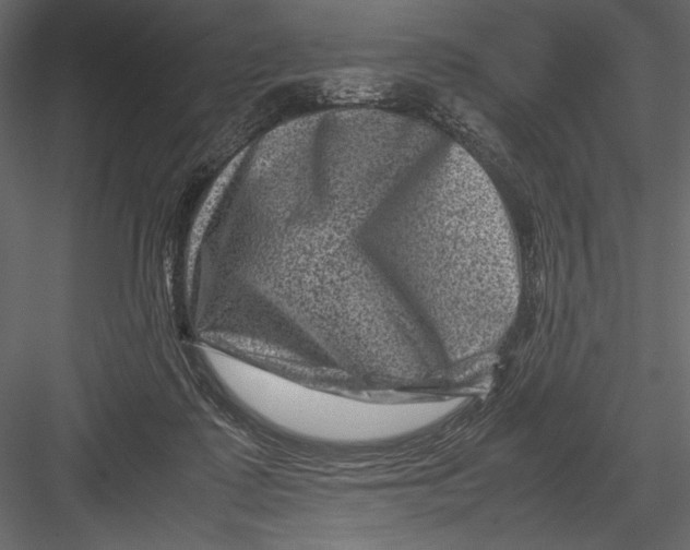 X0000082990315200702230107