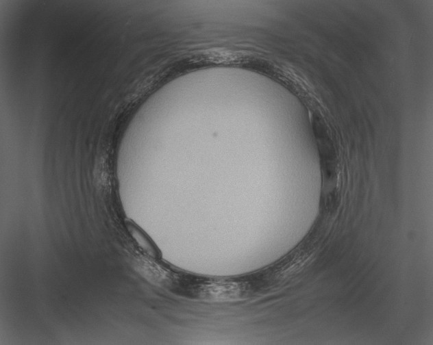 X0000082990317200702230107