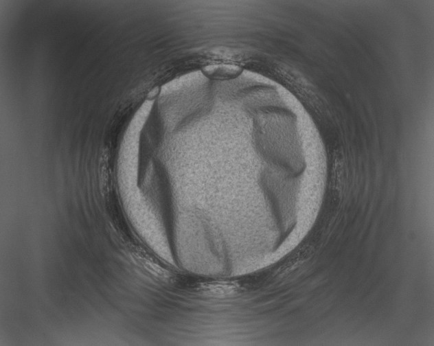 X0000082990318200702230107