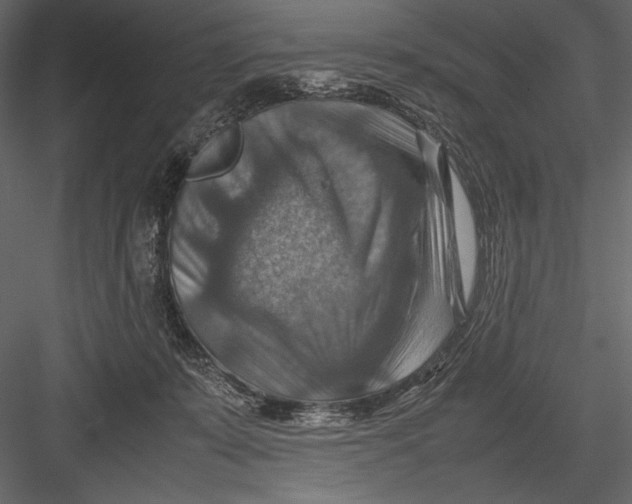 X0000082990319200702230107