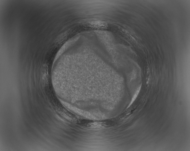 X0000082990320200702230107