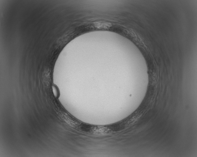 X0000082990321200702230107