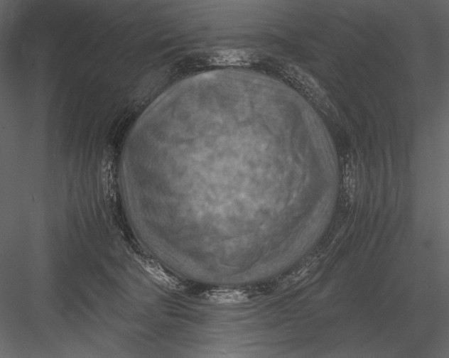 X0000082990322200702230107