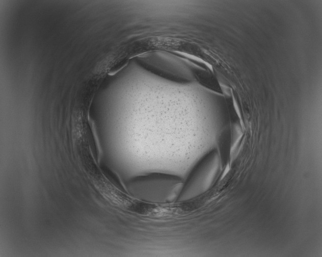 X0000082990323200702230107