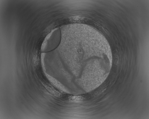 X0000082990324200702230107