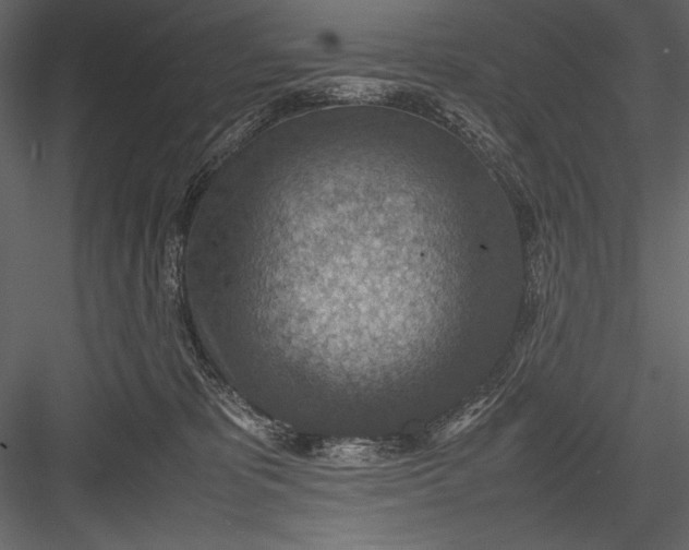 X0000082990325200702230107