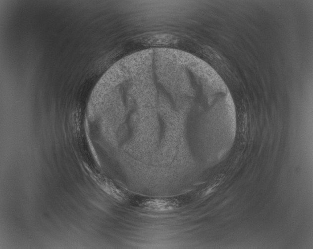 X0000082990326200702230107