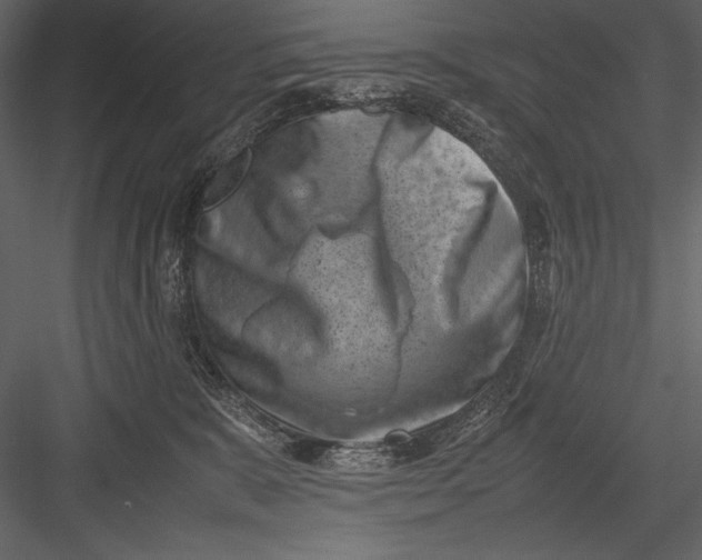 X0000082990327200702230107