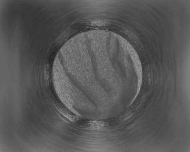 X0000082990328200702230107