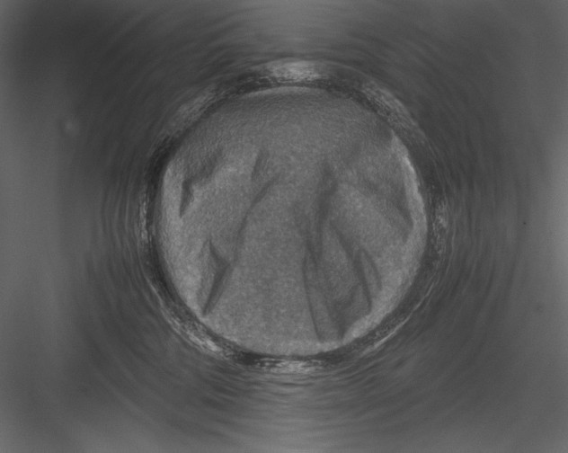 X0000082990330200702230107