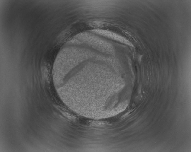 X0000082990332200702230107