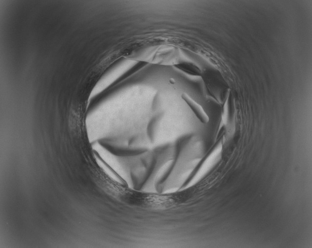 X0000082990333200702230107