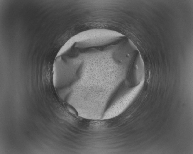 X0000082990334200702230107