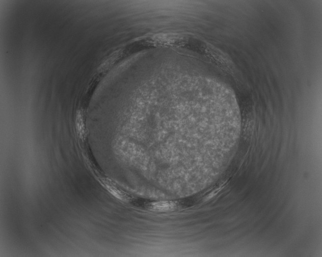 X0000082990335200702230107