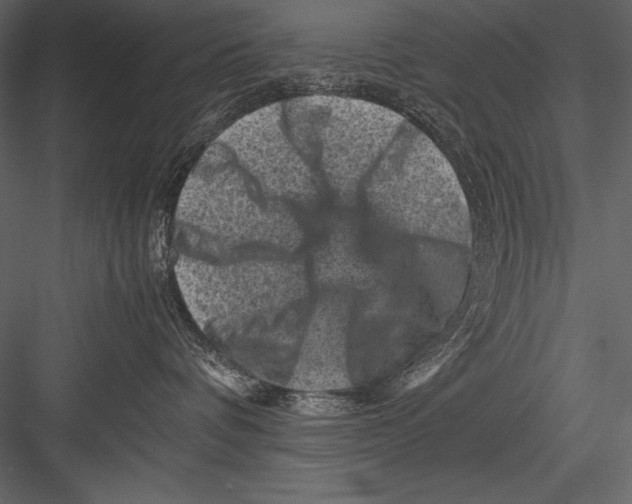 X0000082990336200702230107