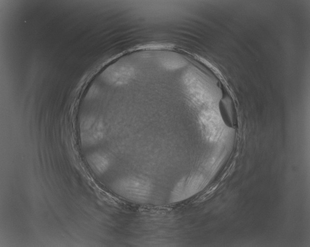 X0000082990337200702230106