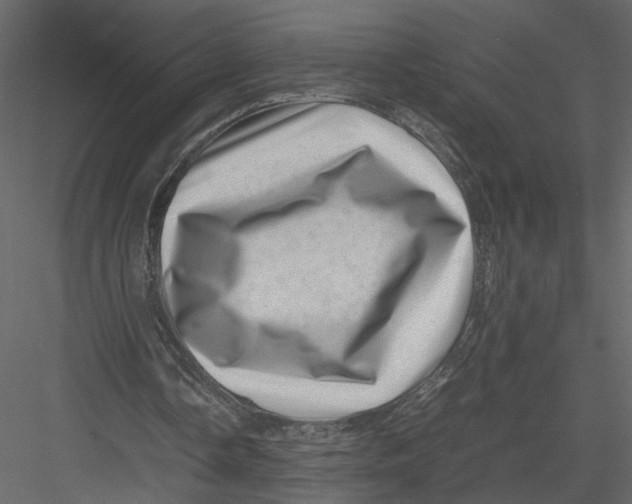 X0000082990338200702230106